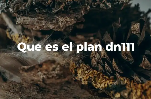 Que es el Plan Dn111