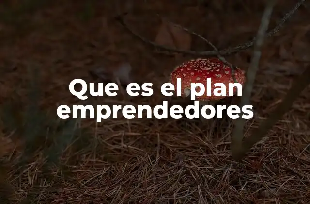 Cómo el Plan Emprendedores apoya a los nuevos empresarios
