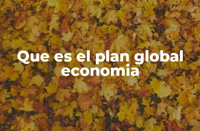 Que es el Plan Global Economia