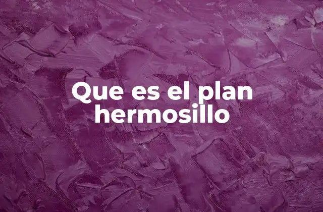Que es el Plan Hermosillo