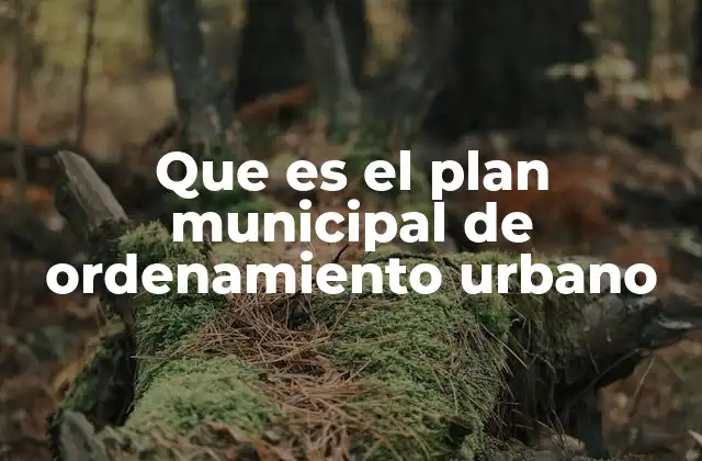 El rol del ordenamiento urbano en el desarrollo local