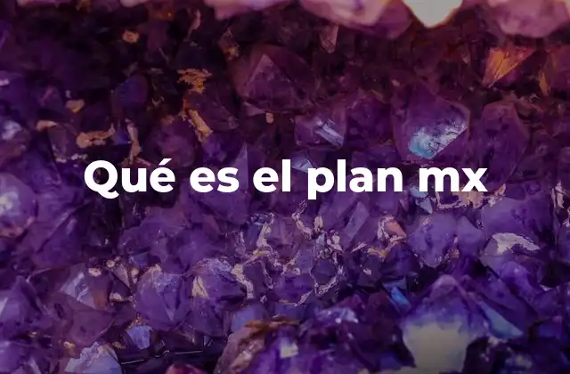 Qué es el Plan Mx