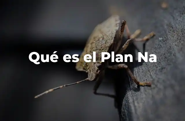 Qué es el Plan Na