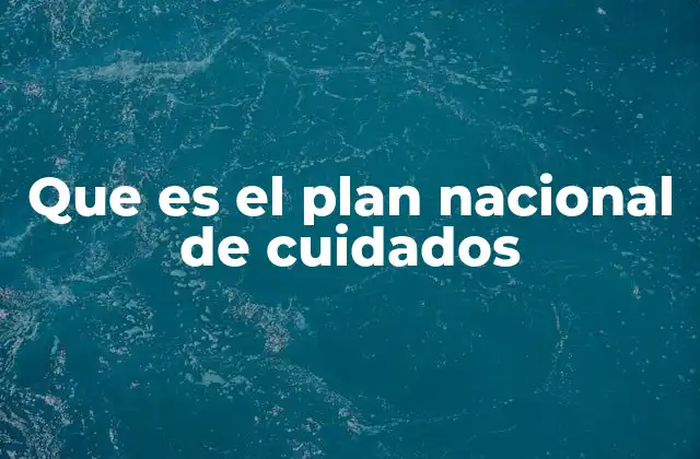 Que es el Plan Nacional de Cuidados