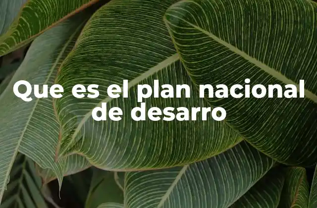 La importancia del marco estratégico para el crecimiento sostenible