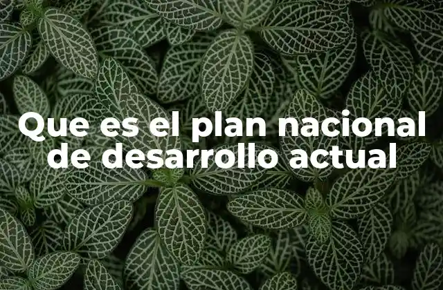 Que es el Plan Nacional de Desarrollo Actual