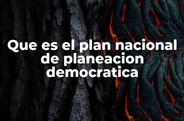 Que es el Plan Nacional de Planeacion Democratica