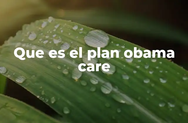 Que es el Plan Obama Care