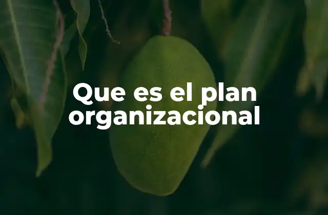 Que es el Plan Organizacional