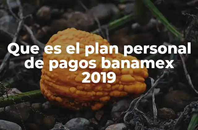 Que es el Plan Personal de Pagos Banamex 2019