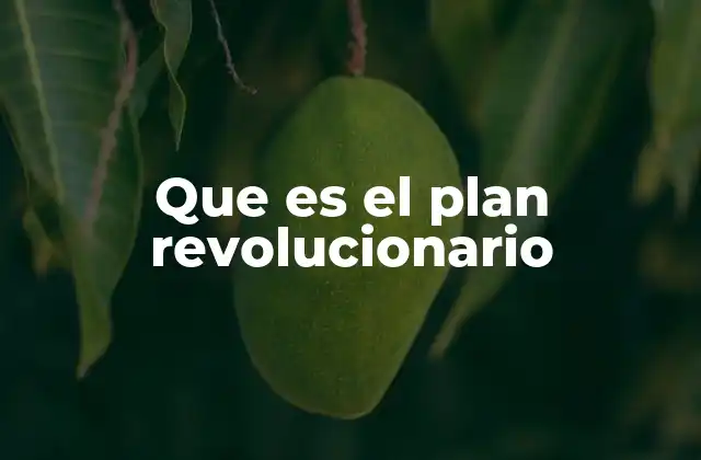 Que es el Plan Revolucionario 2 El impacto de los planes revolucionarios en la historia