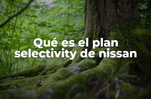Qué es el Plan Selectivity de Nissan
