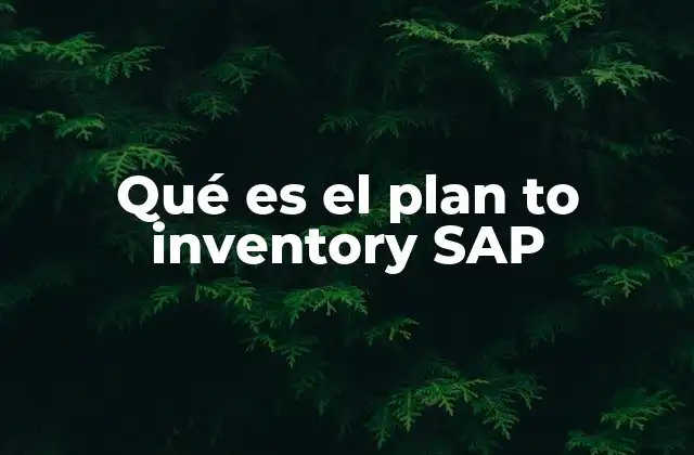 Qué es el Plan To Inventory Sap 2 Cómo el plan to inventory SAP mejora la eficiencia operativa
