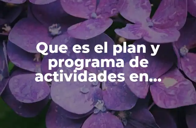 Que es el Plan y Programa de Actividades en Mercadoctenia