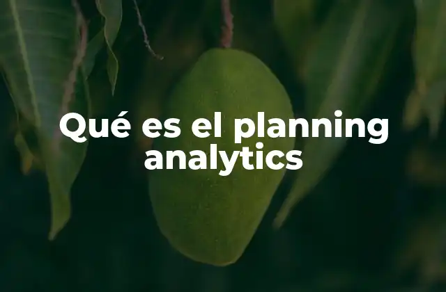 Qué es el Planning Analytics