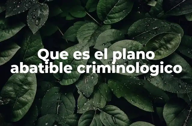 Que es el Plano Abatible Criminologico
