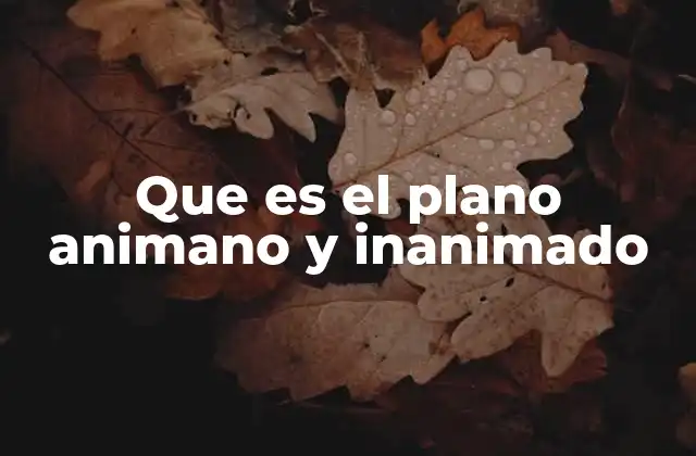 Que es el Plano Animano y Inanimado