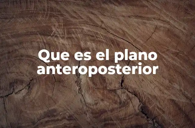 Que es el Plano Anteroposterior 2 La importancia del plano anteroposterior en la anatomía