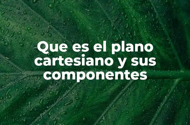 Que es el Plano Cartesiano y Sus Componentes 2 La importancia del sistema cartesiano en la geometría moderna