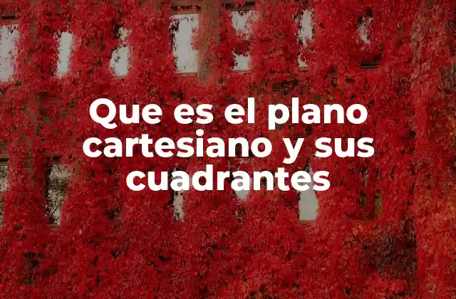 Que es el Plano Cartesiano y Sus Cuadrantes