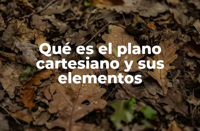 Qué es el Plano Cartesiano y Sus Elementos