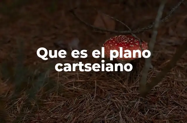 Que es el Plano Cartseiano