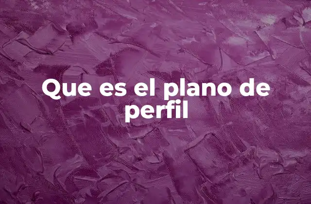 Que es el Plano de Perfil