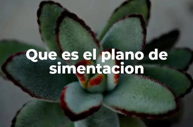 Que es el Plano de Simentacion