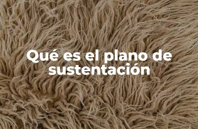 Qué es el Plano de Sustentación