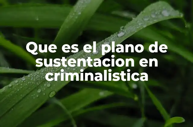 La importancia del plano de sustentación en el análisis de escenas del crimen