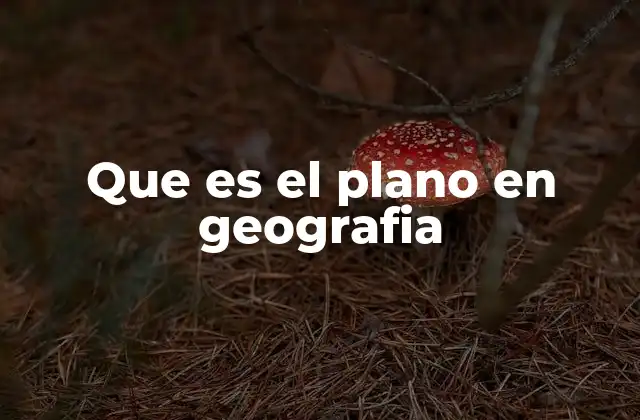 Que es el Plano en Geografia