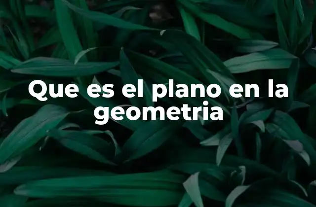 Que es el Plano en la Geometria