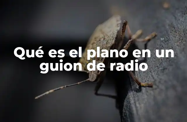 Qué es el Plano en un Guion de Radio