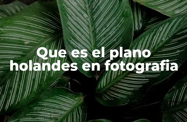 Que es el Plano Holandes en Fotografia