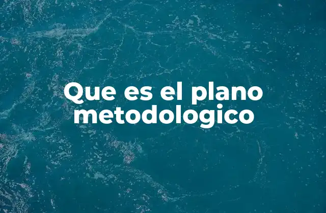 Que es el Plano Metodologico