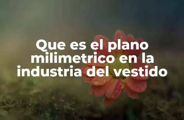 Que es el Plano Milimetrico en la Industria Del Vestido