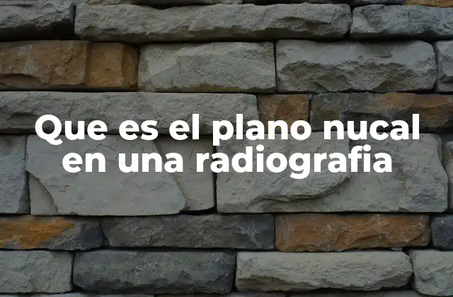 Que es el Plano Nucal en una Radiografia