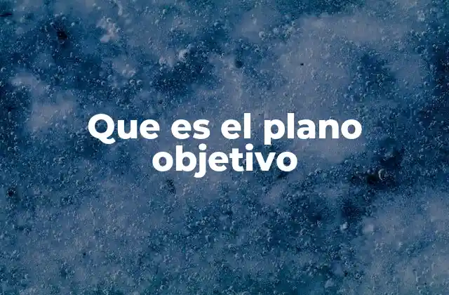 Que es el Plano Objetivo