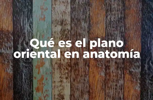 Qué es el Plano Oriental en Anatomía 2 La importancia de los planos en la descripción anatómica