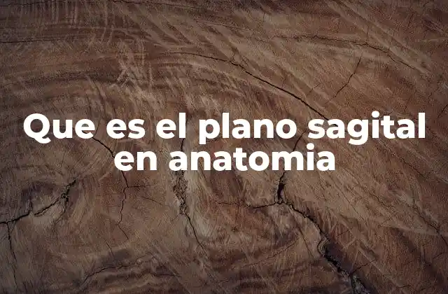 Que es el Plano Sagital en Anatomia