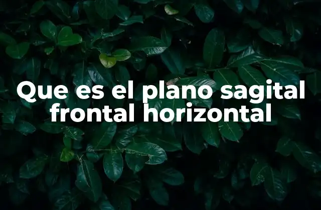 Que es el Plano Sagital Frontal Horizontal