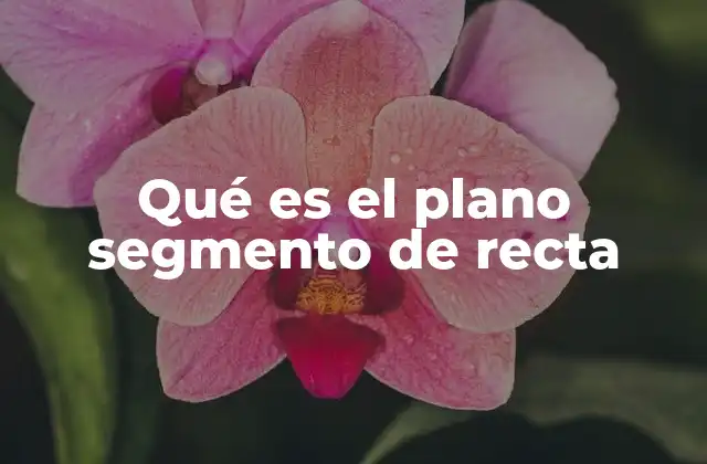 Qué es el Plano Segmento de Recta