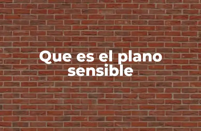 Que es el Plano Sensible