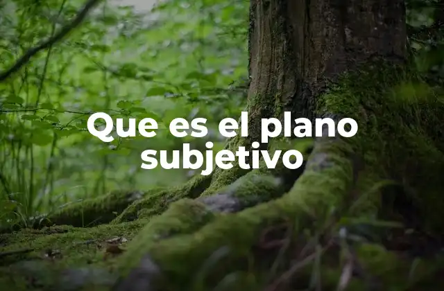 La importancia del punto de vista en la narrativa audiovisual