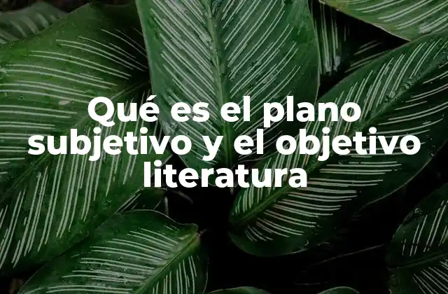 Qué es el Plano Subjetivo y el Objetivo Literatura