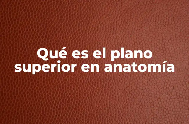 Qué es el Plano Superior en Anatomía