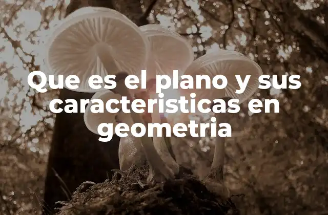 Que es el Plano y Sus Caracteristicas en Geometria