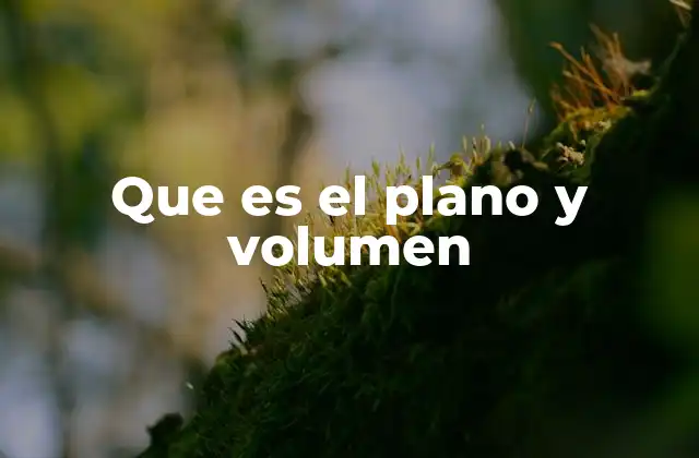 Que es el Plano y Volumen