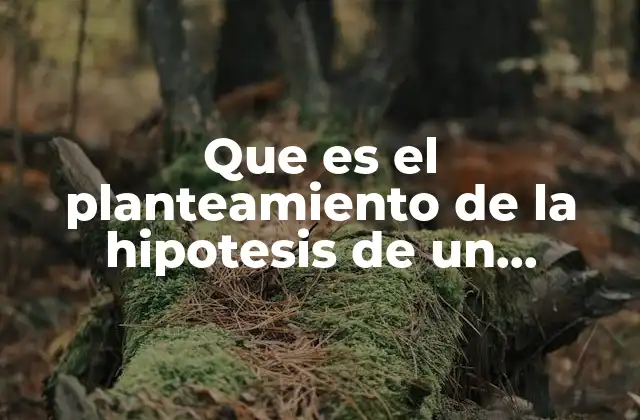 Que es el Planteamiento de la Hipotesis de un Proyecto