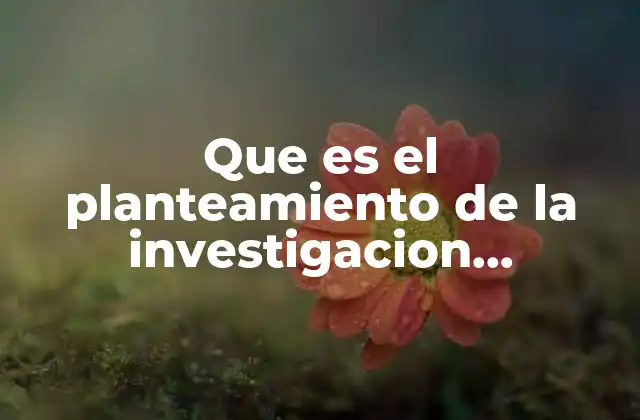 Que es el Planteamiento de la Investigacion Definicion